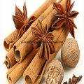 Chinese Cinamomum Cassia, Cinnamon for Sale